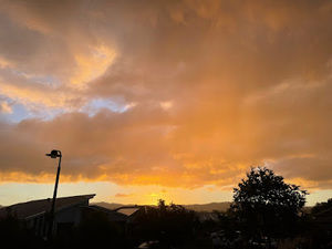 Meet your Posher, Briony